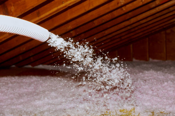 Best Local Insulation Services  in Glenolden, PA