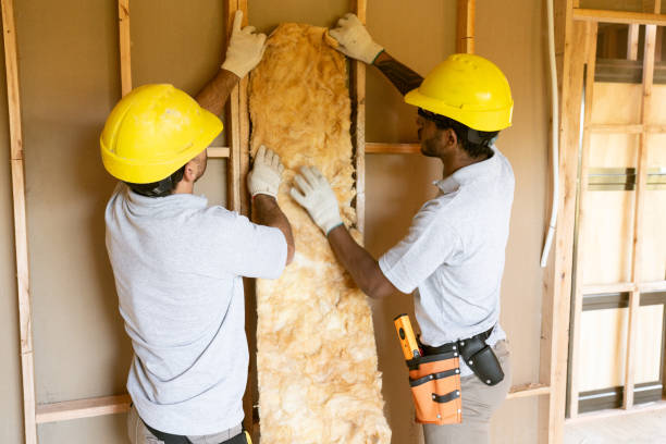 Best Attic Insulation Installation  in Glenolden, PA